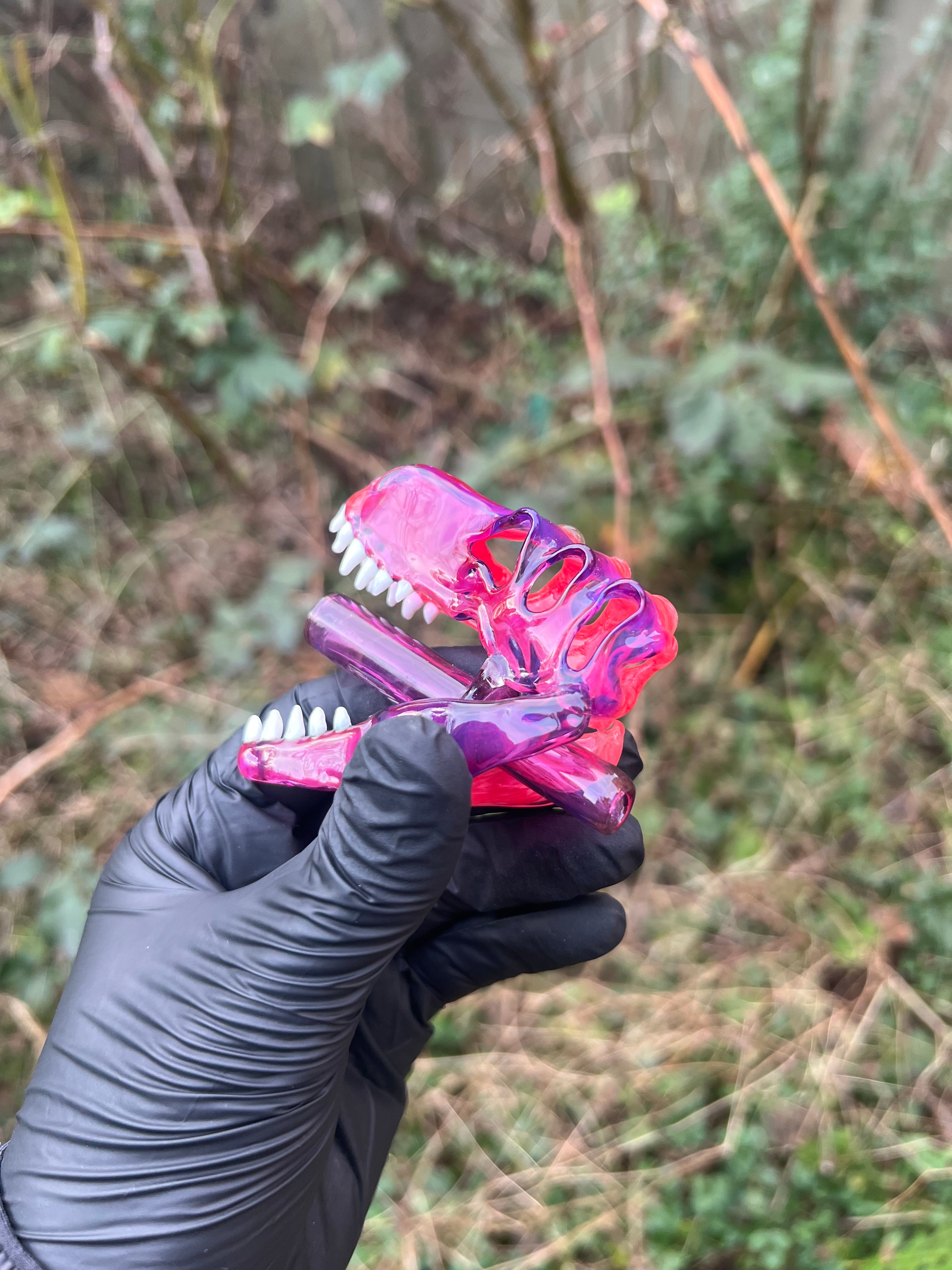 T-rex skull pendy and J holder