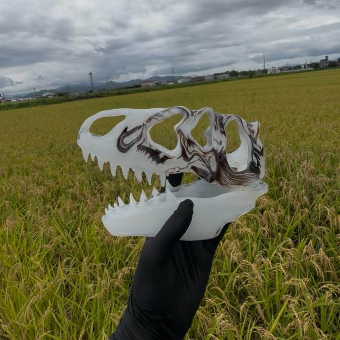 T rex skull White collab with @buddhaflow_glass