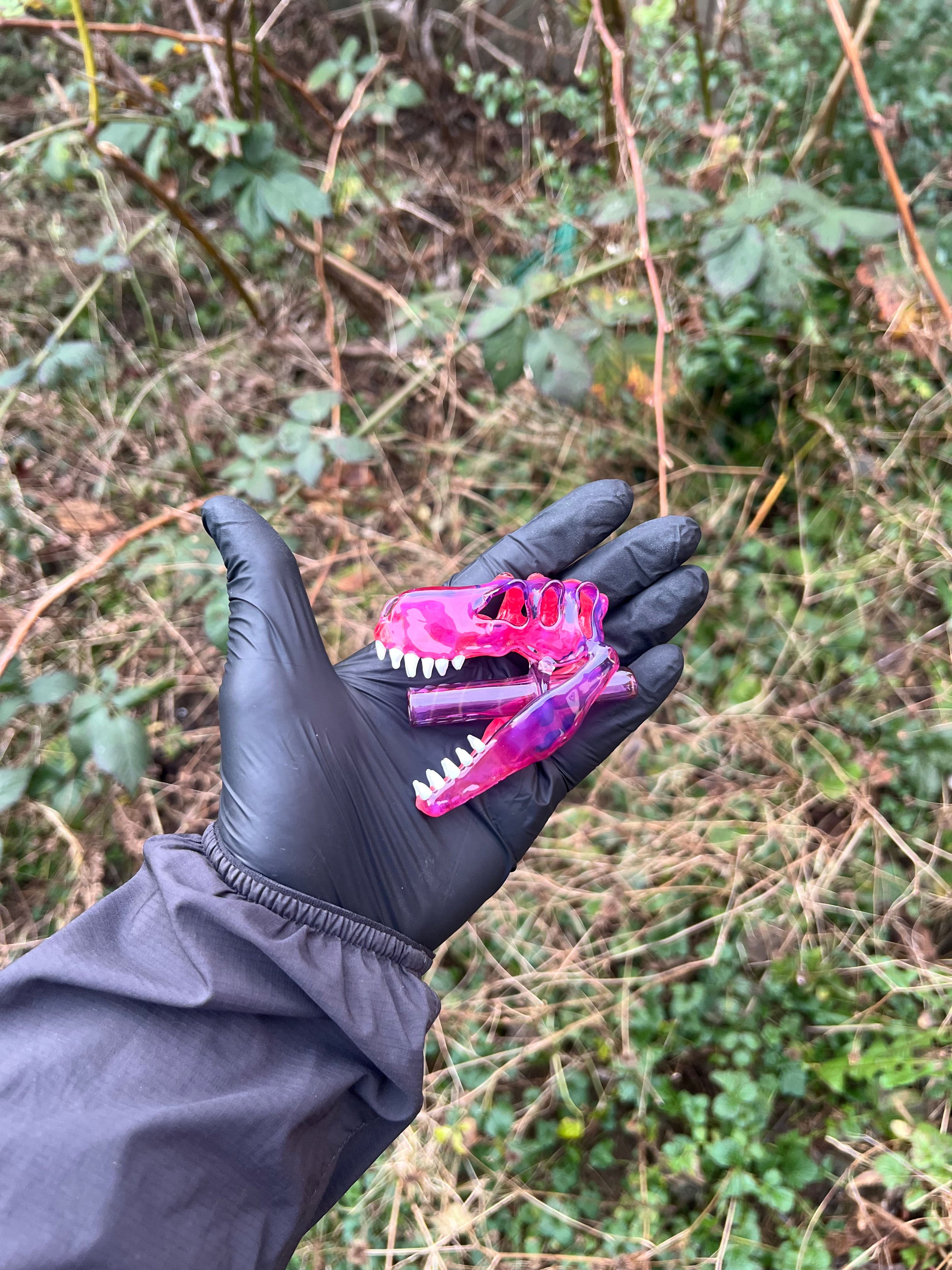 T-rex skull pendy and J holder