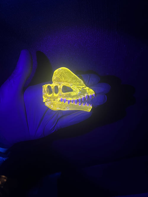 Dilophosaurus UV skull pendy