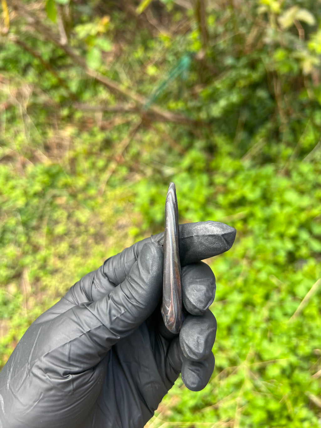 T-rex claw