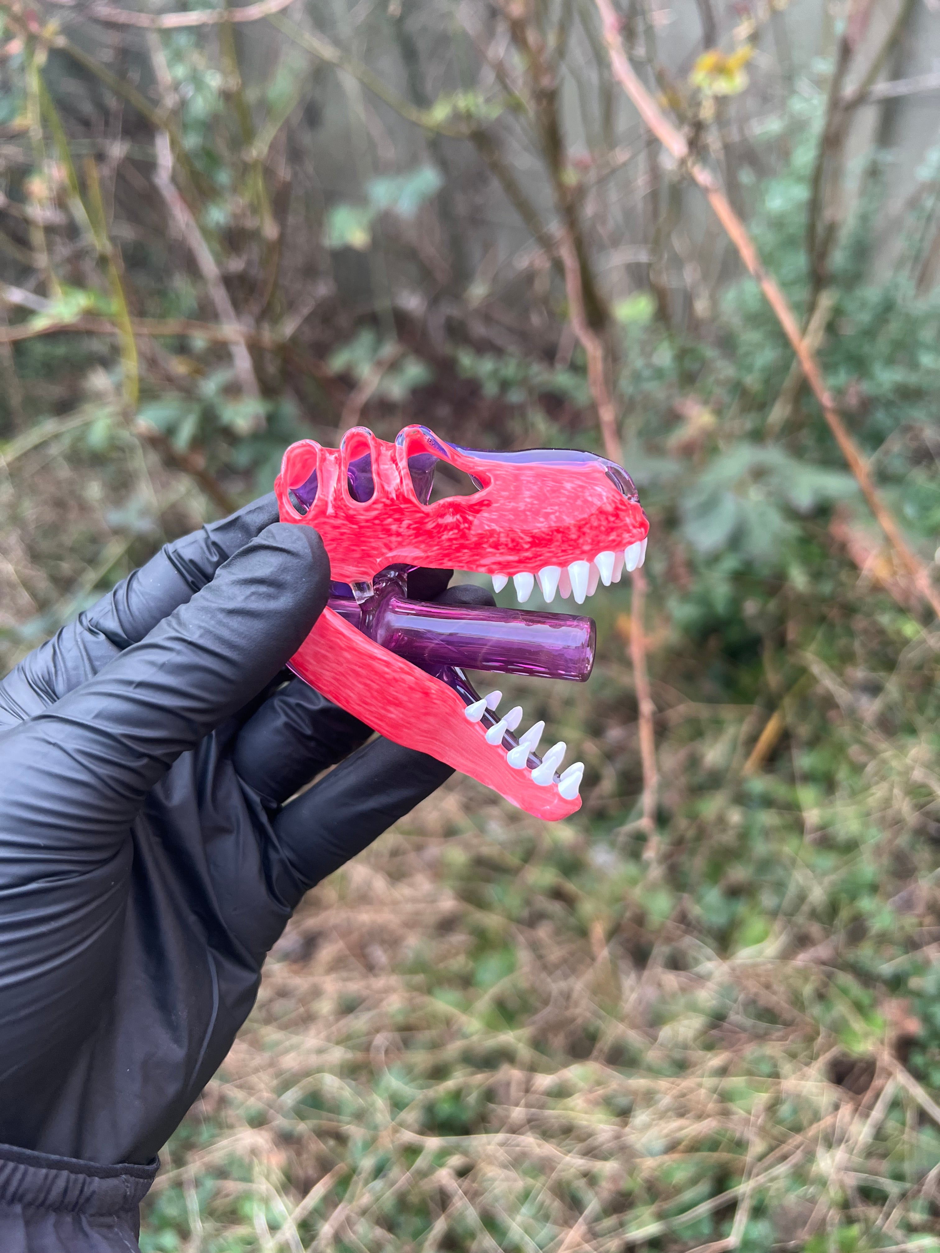 T-rex skull pendy and J holder