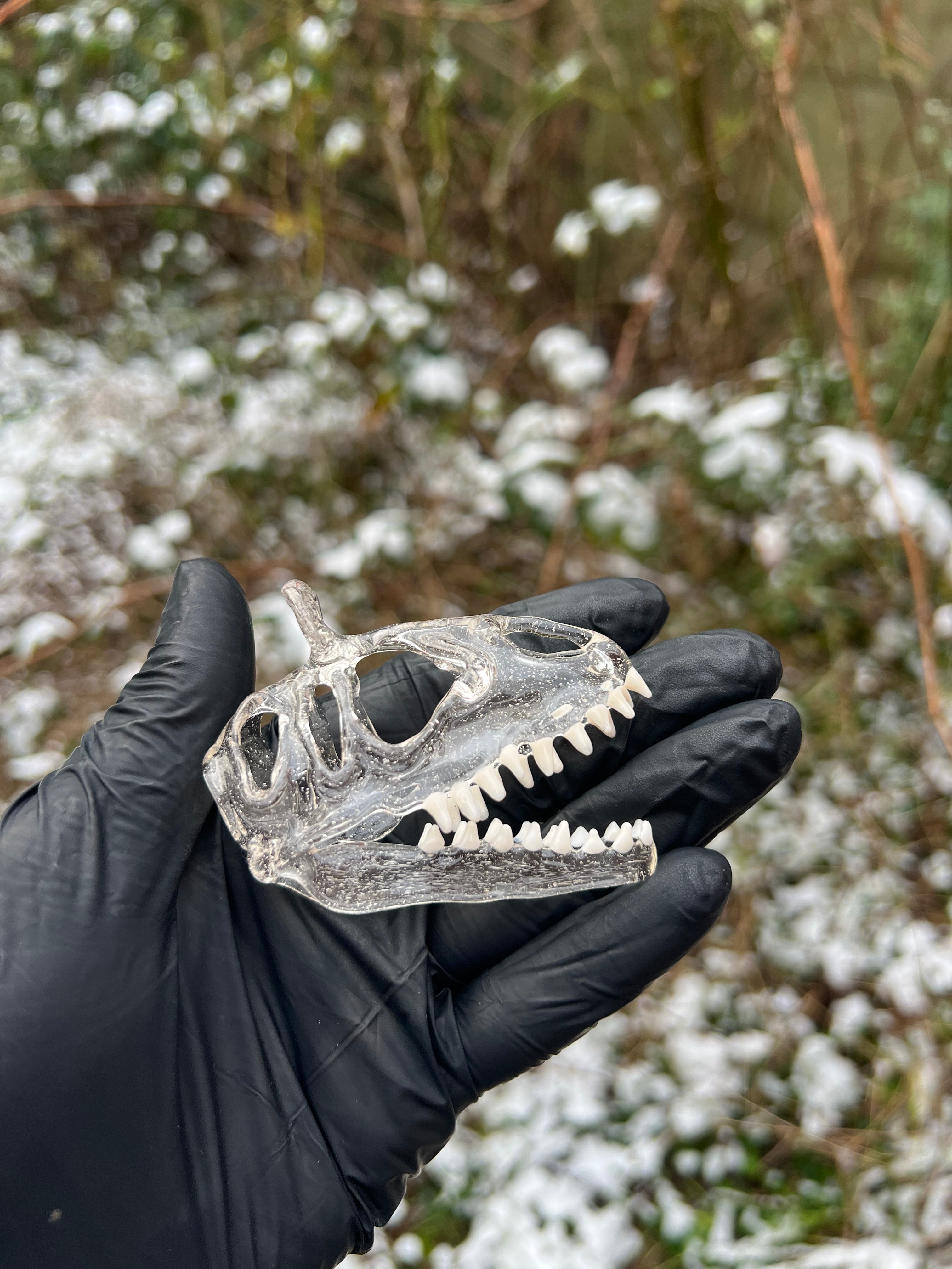 Cryolophosaurus skull pendy
