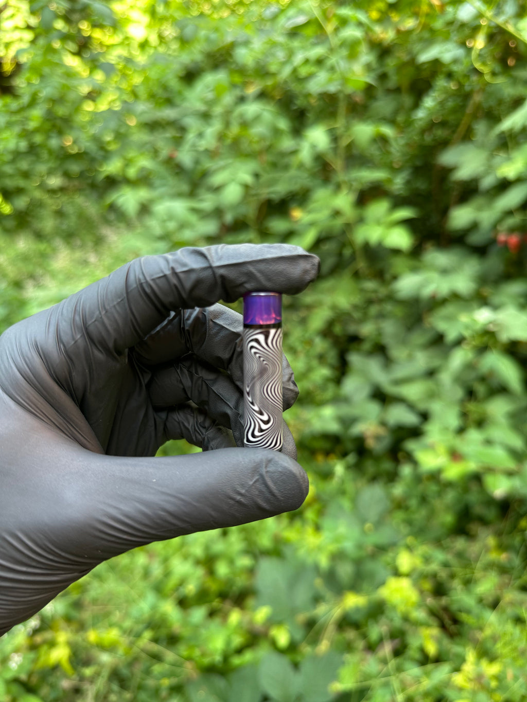 Zebra with purple