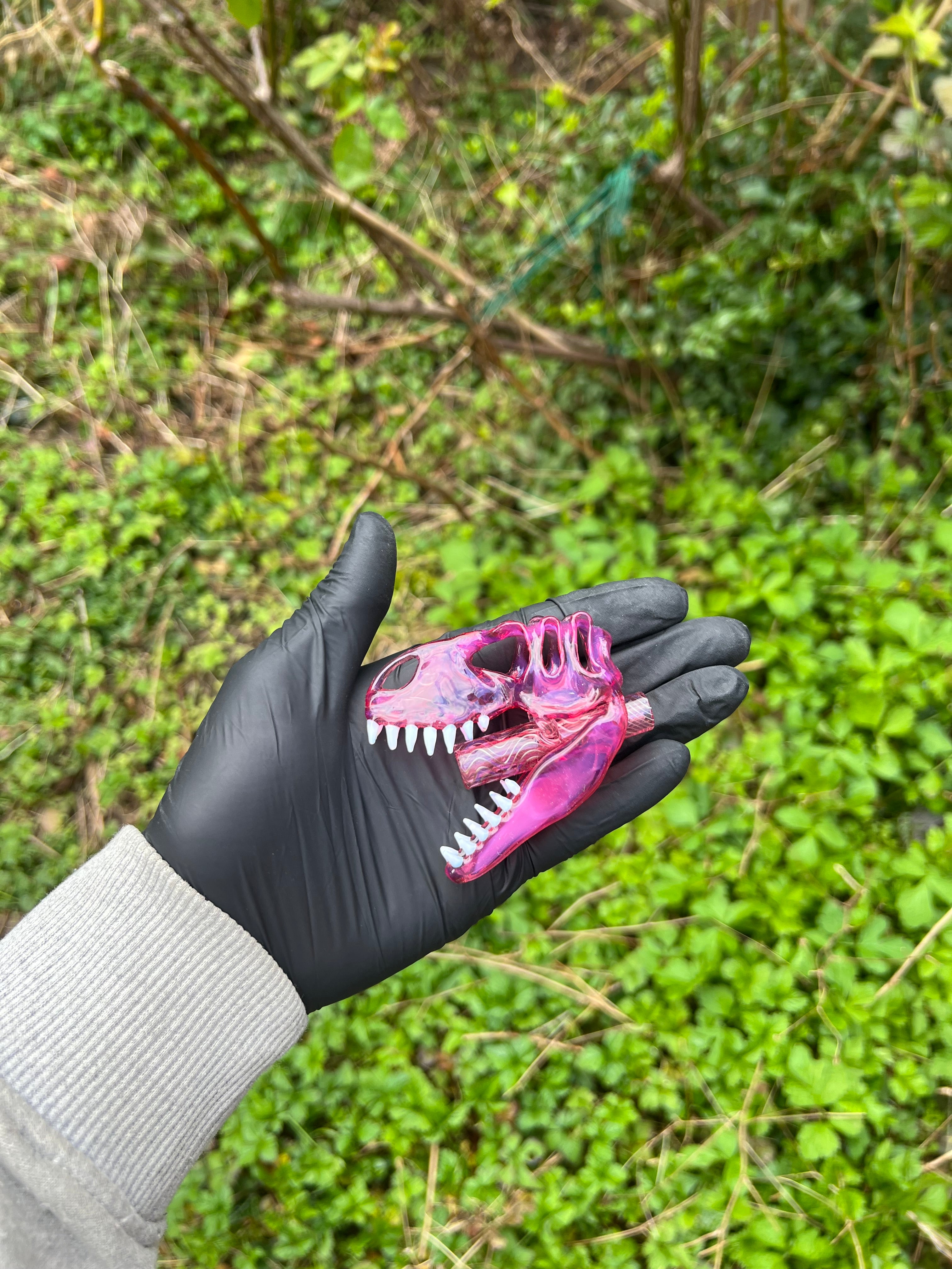 T-rex telemangenta