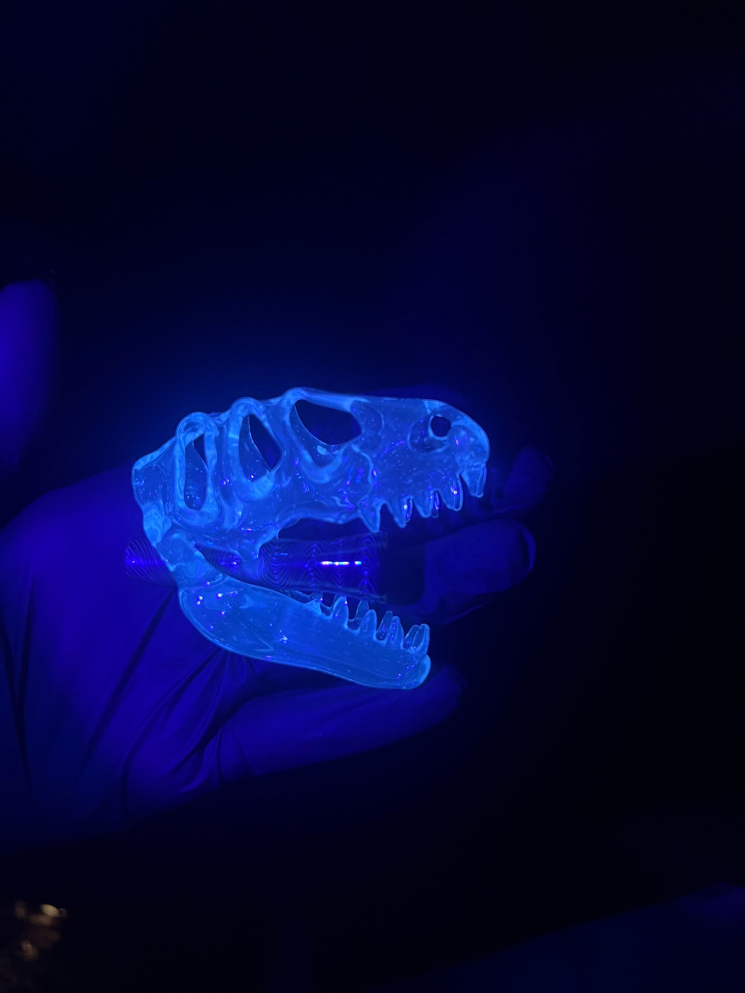 T-rex UV blue pendy and J holder