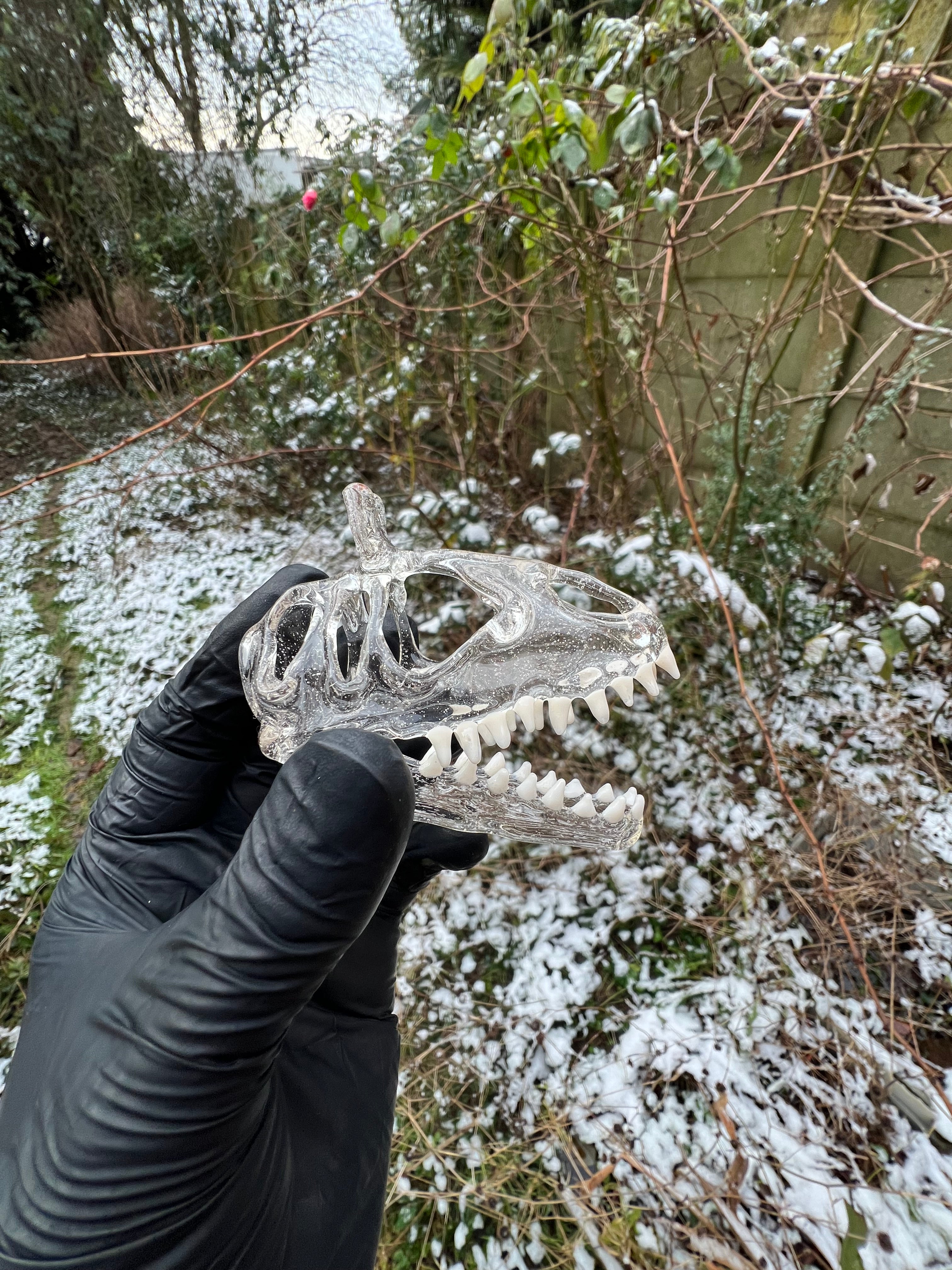 Cryolophosaurus skull pendy
