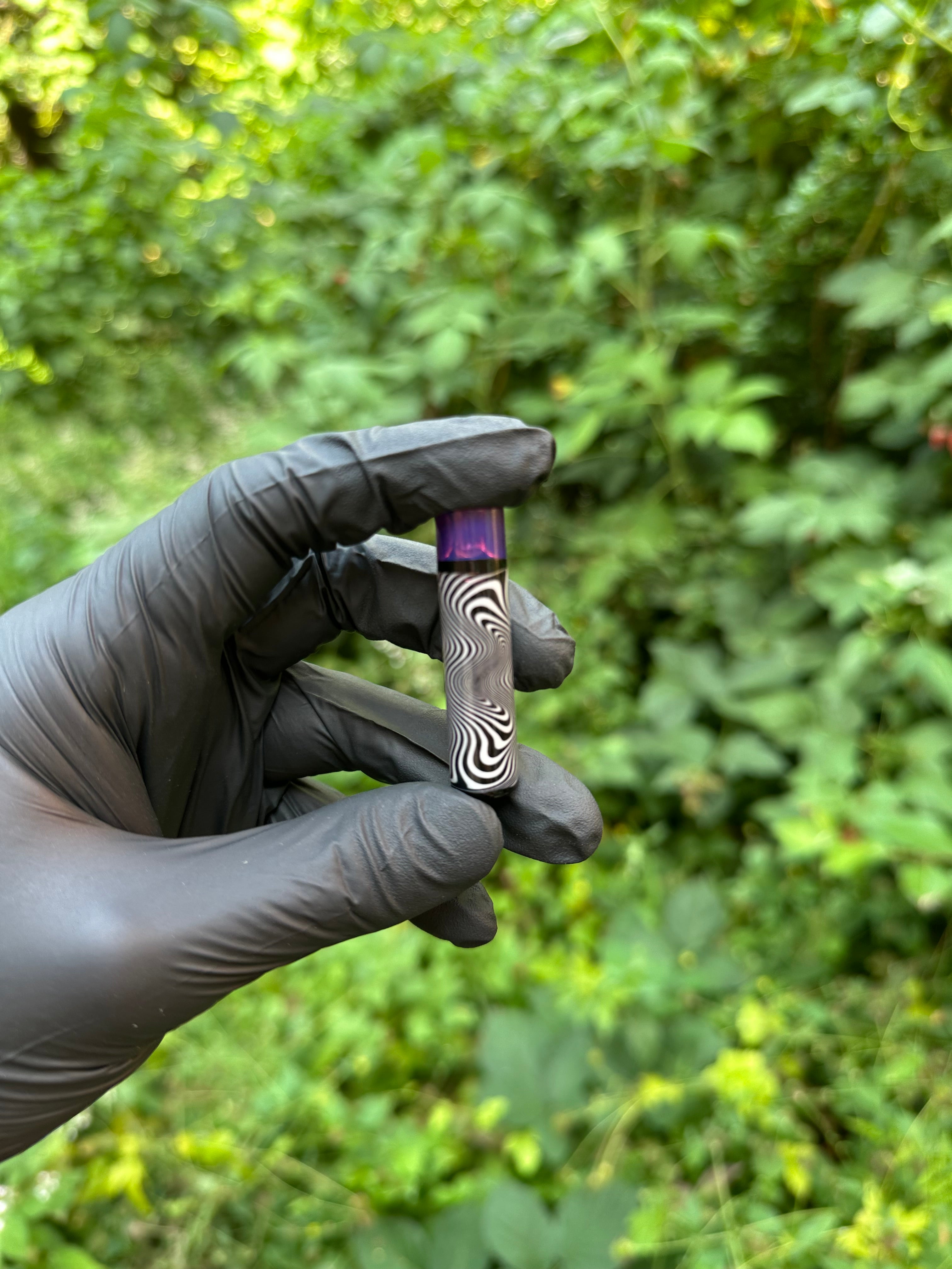 Zebra with purple