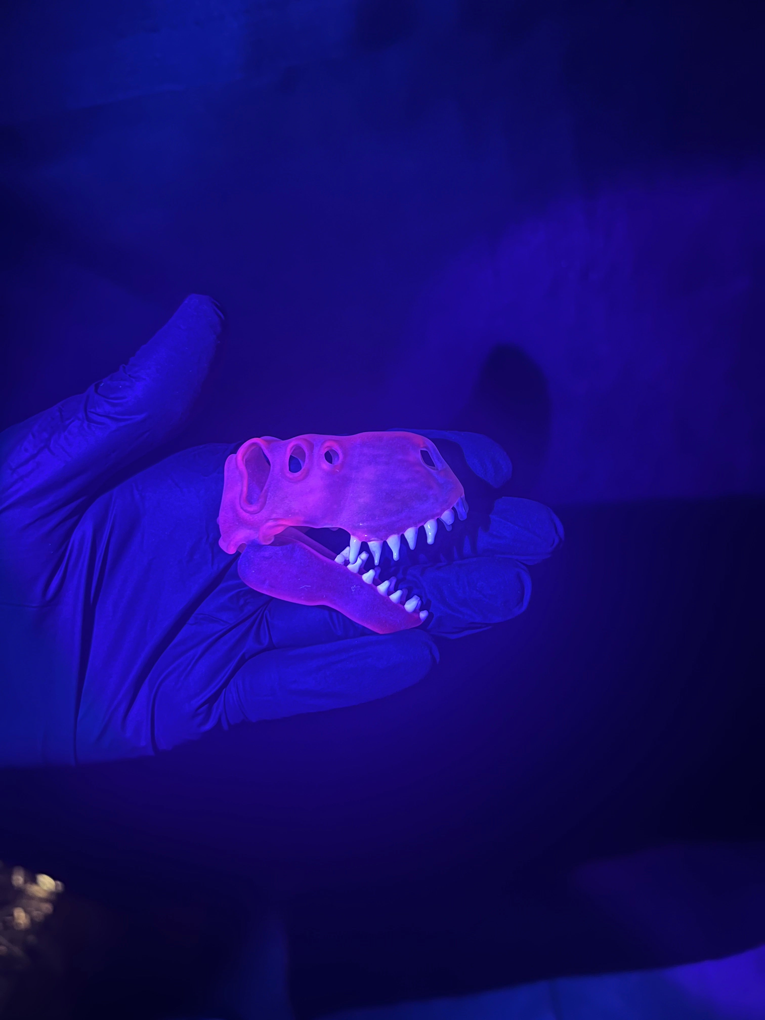 T-rex UV skull pendy