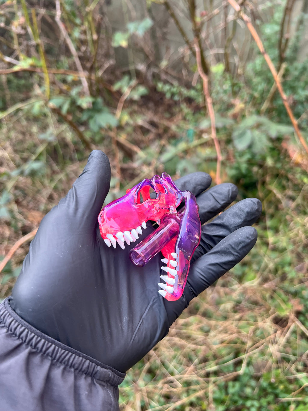 T-rex skull pendy and J holder