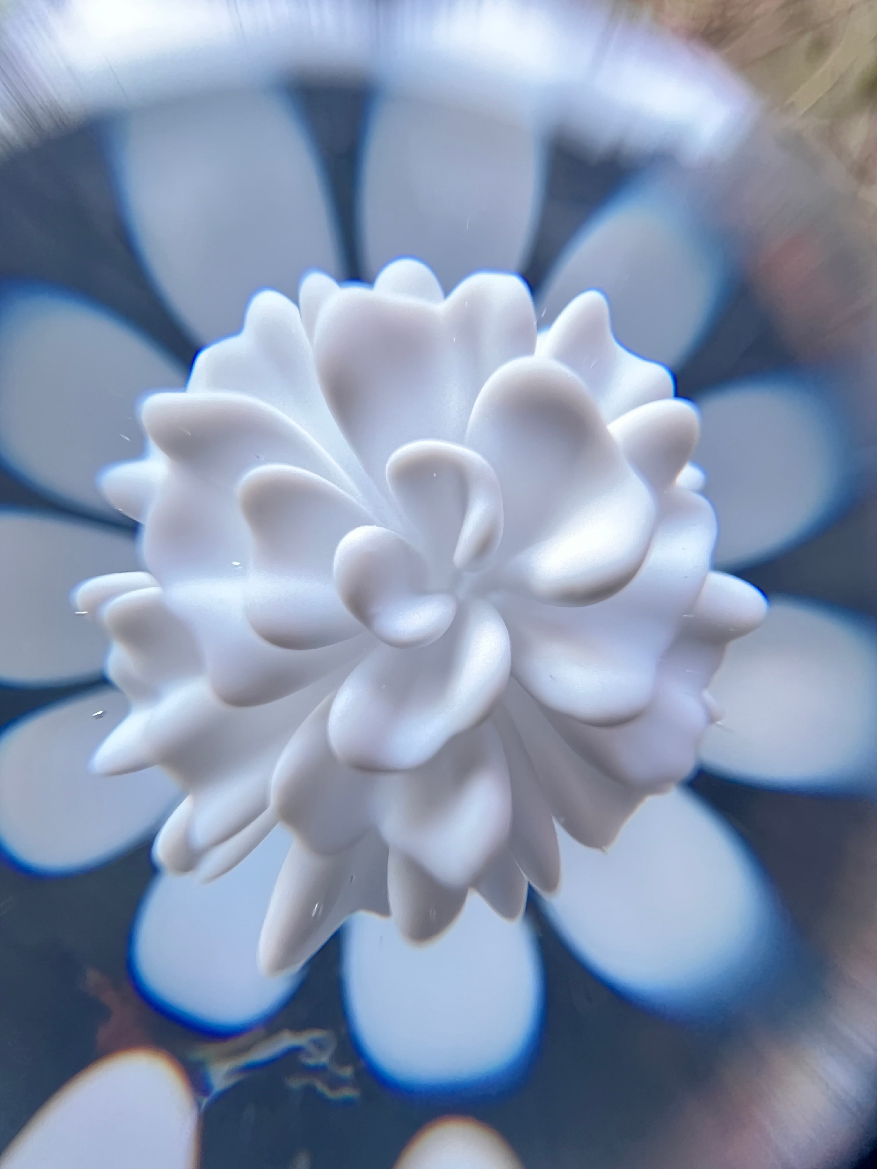 White flower implosion with dots marble